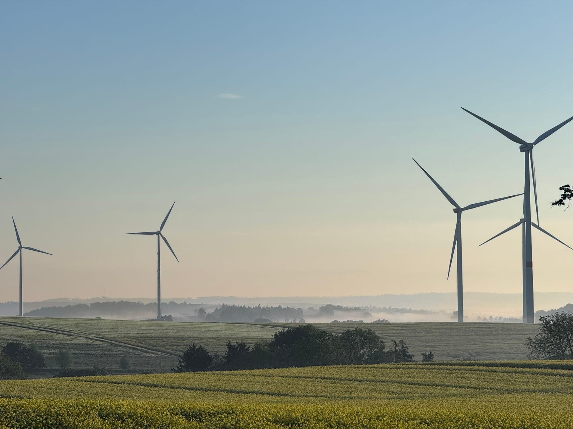 Windpark im Morgennebel